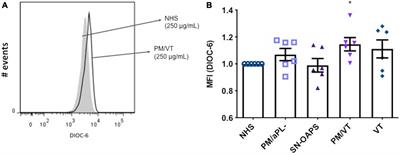 Antiphospholipid Antibodies From Women With Pregnancy Morbidity and Vascular Thrombosis Induce Endothelial Mitochondrial Dysfunction, mTOR Activation, and Autophagy